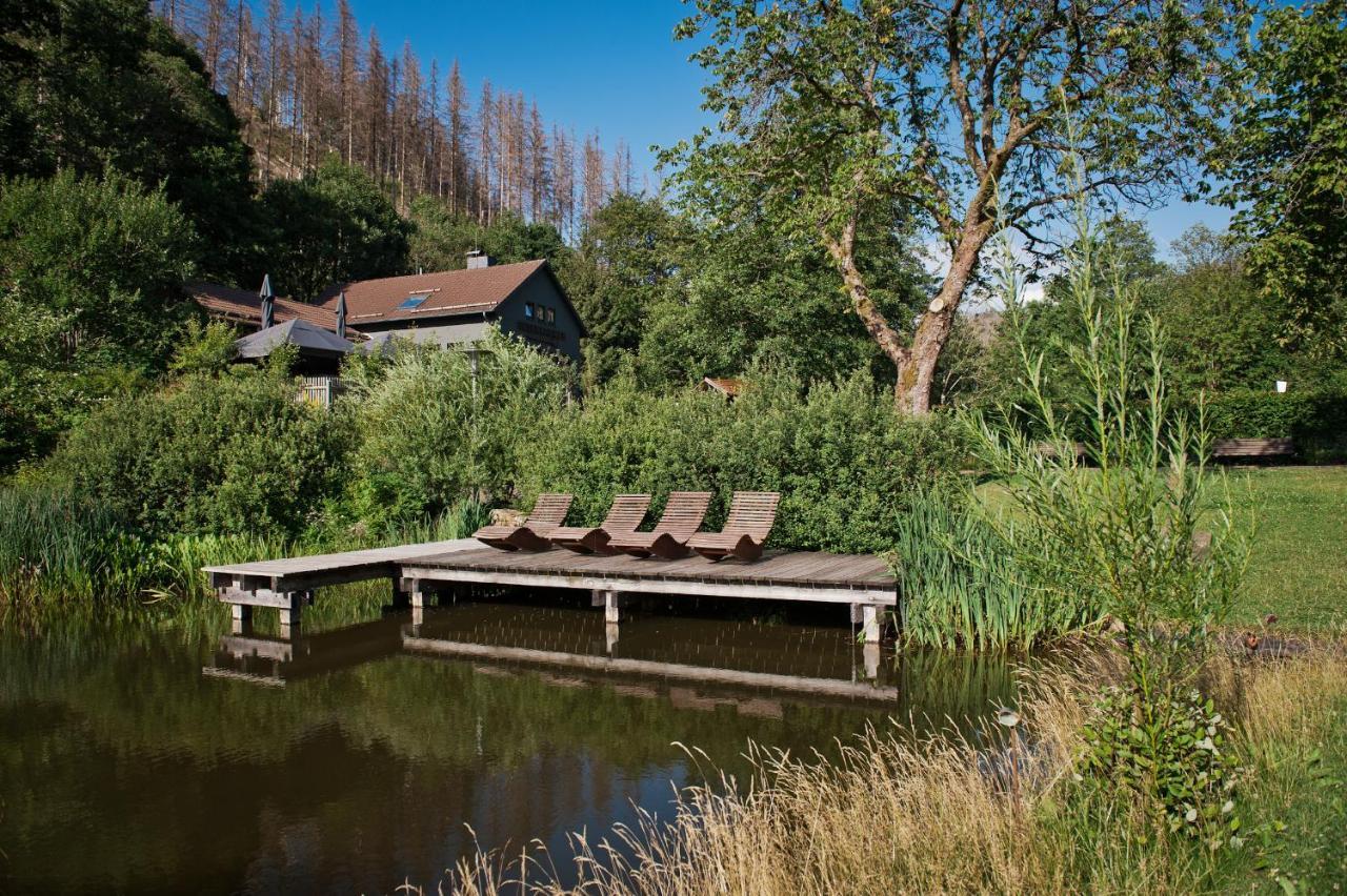 Tiny House Nature 12 - Green Tiny Village Harz Osterode am Harz Exterior photo