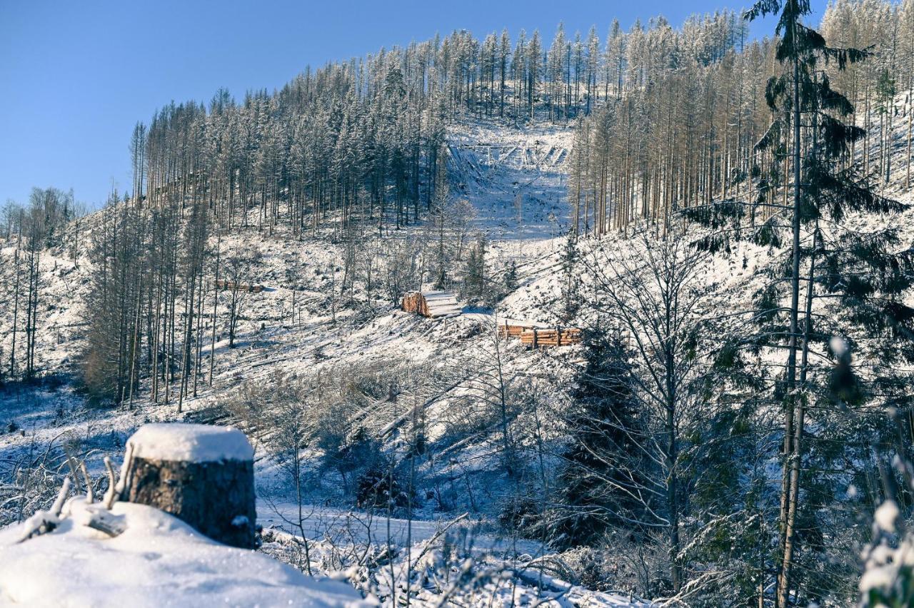 Tiny House Nature 12 - Green Tiny Village Harz Osterode am Harz Exterior photo